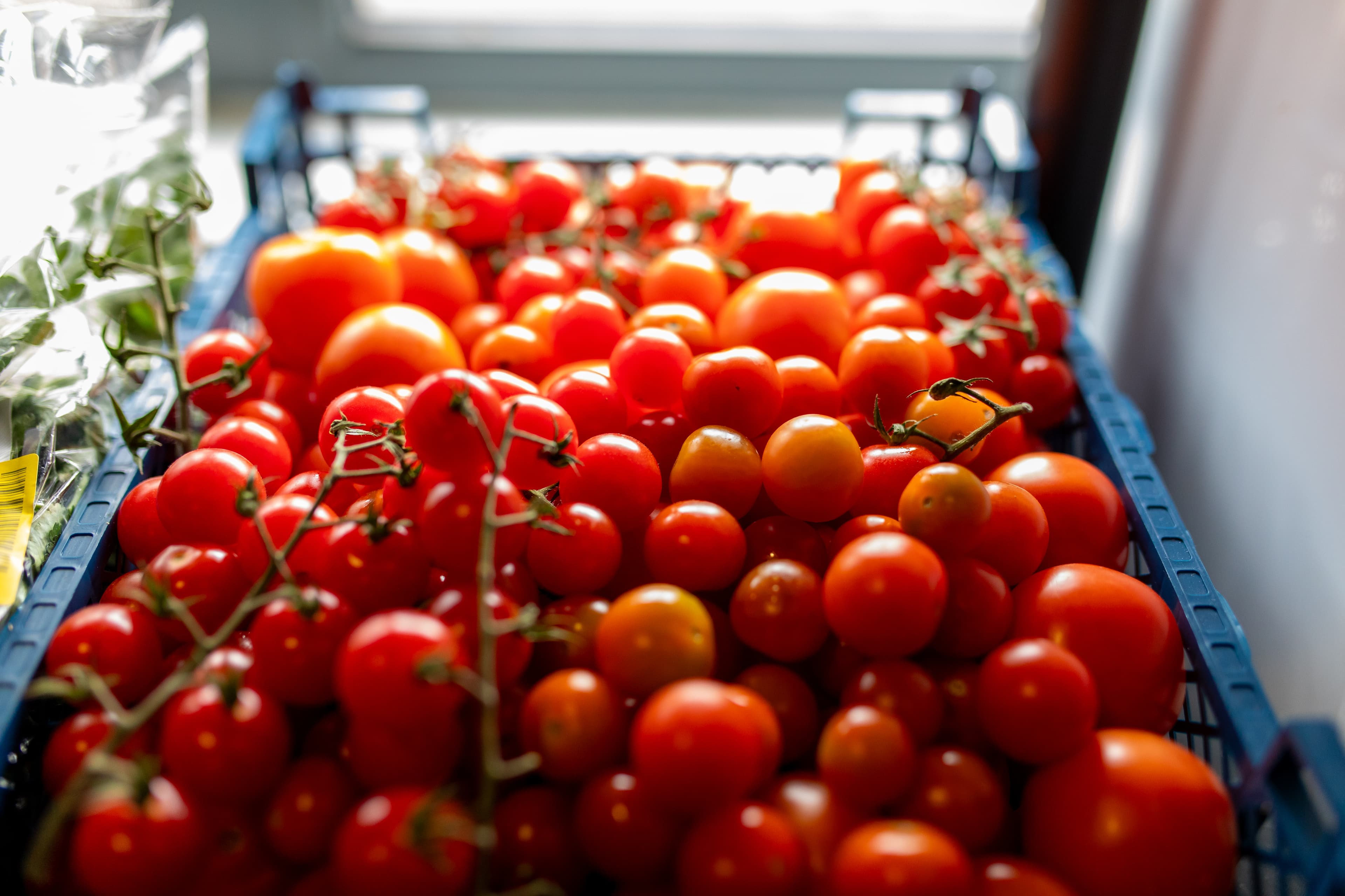 Shared Plates, Shared Stories cooking session