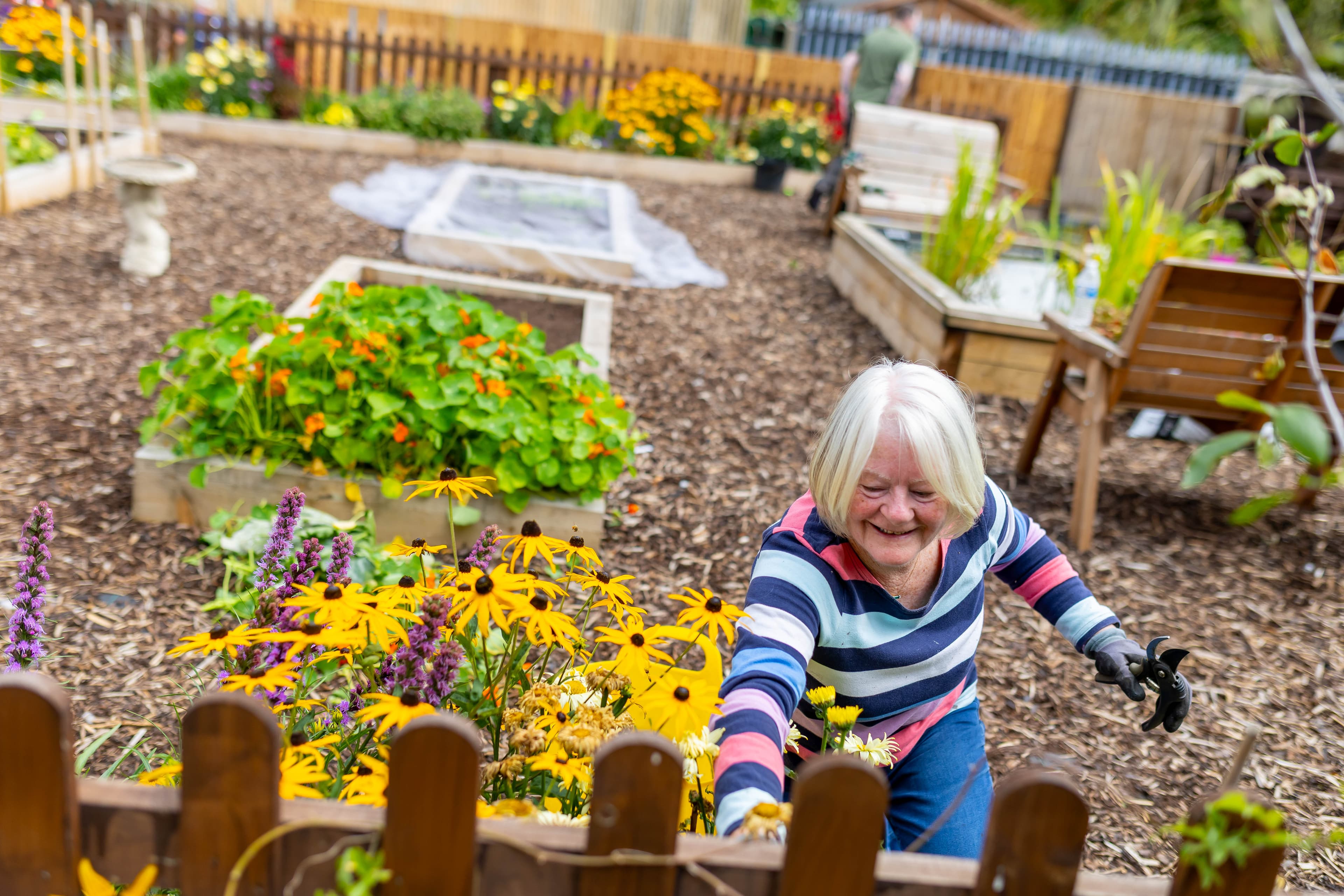 for nourishment gallery image 5